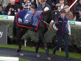 Race 5 Who Dares Wins.jpg