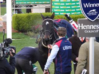 Race 5 Who Dares Wins winner 2.jpg