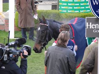Race 5 winner Who Dares Wins 3.jpg