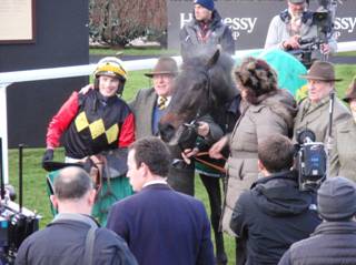 Race 7 winner Ultragold.jpg