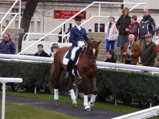 1 dressage.jpg