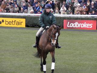 kauto 4.jpg