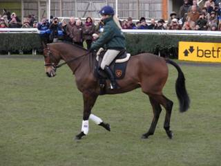 kauto 5 a.jpg