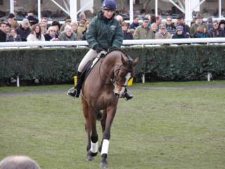 kauto 8.jpg