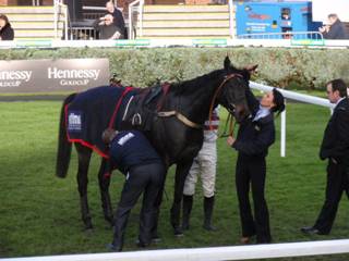 race 2 d.jpg