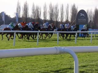Race 3 Nov HCap Hurdle r.jpg