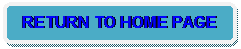 Rounded Rectangle: RETURN TO HOME PAGE