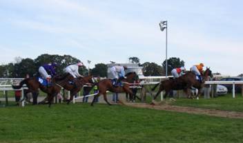 Plumpton 21 Sep thumbnail 4.jpg