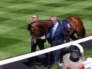 Race 2 4 Hunting Horn 1.jpg