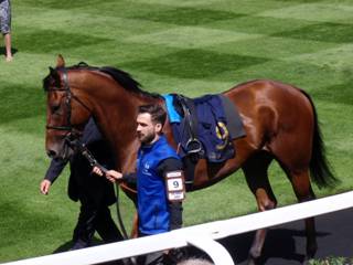 Race 2 9 National Army 1.jpg