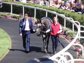 Race 2 12 Silver Quartz 1.jpg