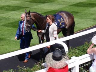 Race 2 14 Vintager 1.jpg
