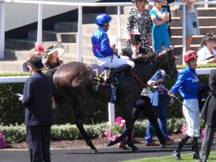 Race 2 4th Vintager.jpg