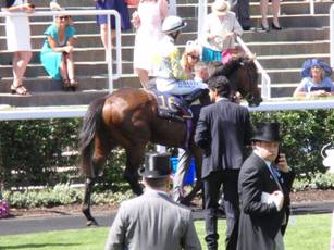 Race 2 3rd Zaaki.jpg