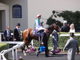 Race 2 2nd Crossed Baton.jpg
