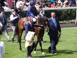 Race 2 winner Hunting Horn 1.jpg