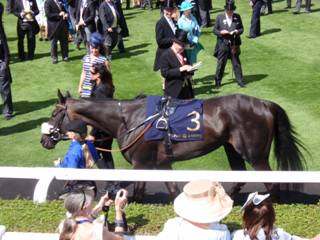 Race 3 3 Dancing Brave Bear 1.jpg
