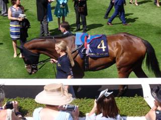 Race 3 4 Highgarden 1.jpg