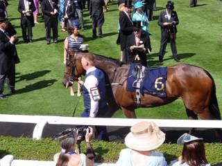 Race 3 6 Magic Wand 1.jpg