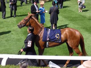 Race 3 9 Sizzling 1.jpg