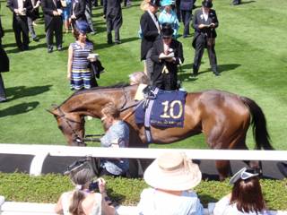 Race 3 10 Sun Maiden 1.jpg