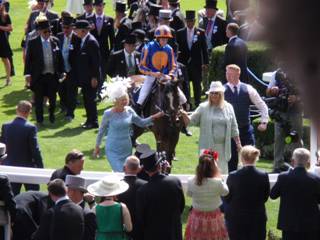 Race 3 winner Magic Wand 1.jpg