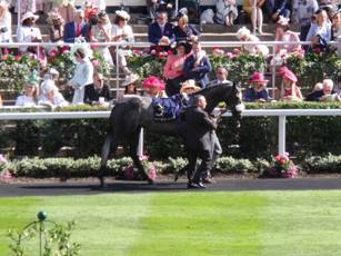 Race 5 3 Lethal Steps.jpg