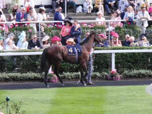 Race 5 4 Finniston Farm 1.jpg