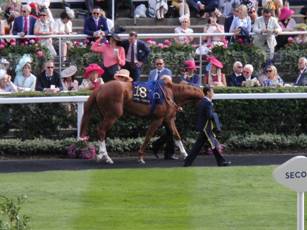 Race 5 18 Crack On Crack On 1.jpg