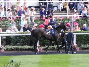 Race 5 24 Sam Gold.jpg