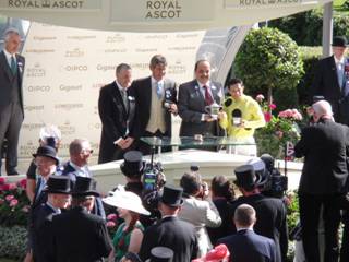 Race 5 winner Ostilio 3.jpg