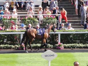 Race 6 8 Lisheen Castle.jpg