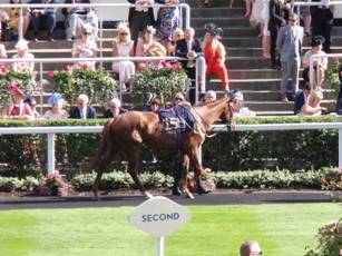 Race 6 15 Lucky Deal.jpg