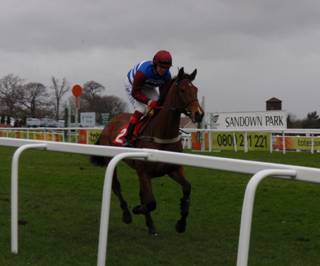 Sandown Park 05 Feb 2011 b r.jpg