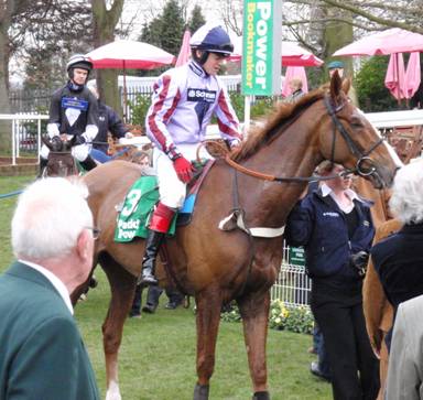 Sandown 7 Mar 09 red o.jpg