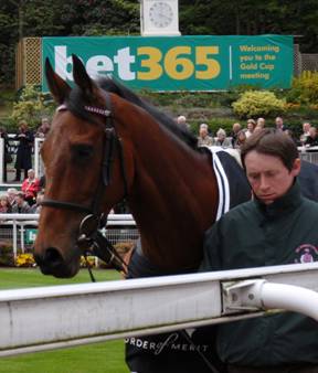 Sandown Park 25 Apr 09 Voy Por red.jpg