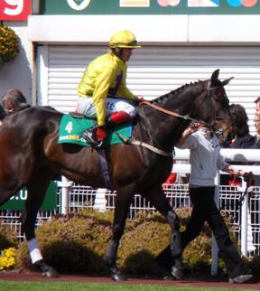 Sandown Park 25 Apr 09 red a.jpg