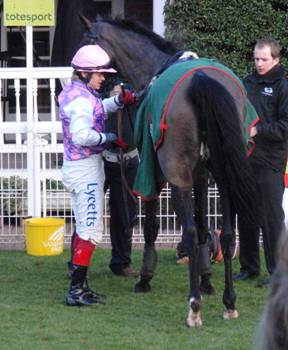Sandown 31 jan 09 red 13.jpg