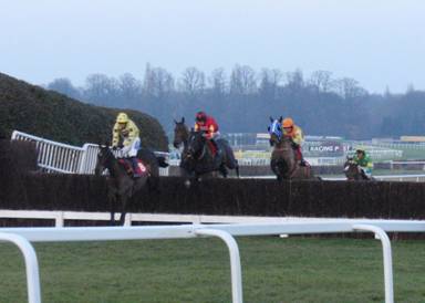 Sandown Park 31 jan 09 red 17.jpg