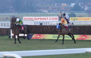 Sandown Park 31 jan 09 red 18.jpg