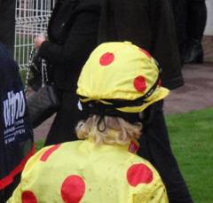 Sandown Park R4 g r.jpg