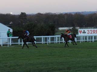 Sandown 08 Jan 2011 p r.jpg