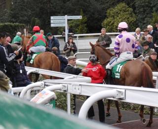 Sandown 13 Mar 2010 f red.jpg