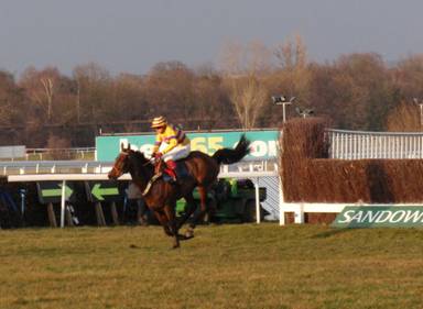 Sandown 13 Mar 2010 q red.jpg