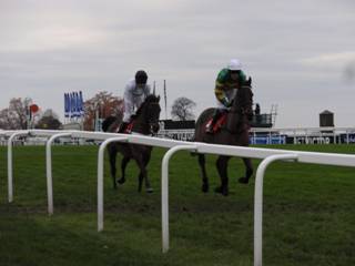 race 5 a.jpg