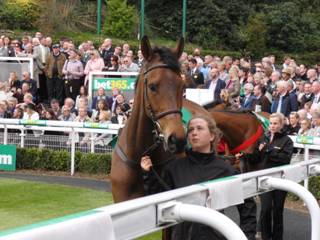 Coneygree.jpg