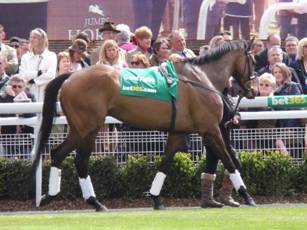 Coneygree 2.jpg