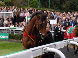 Dodging Bullets 1.jpg