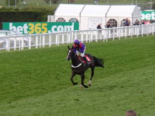 race 6 l.jpg
