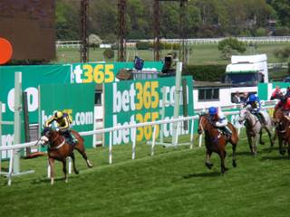Race 1 p.jpg